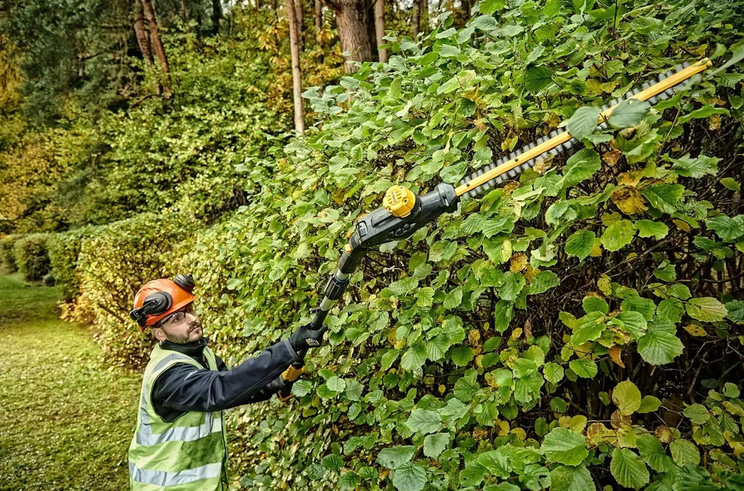 Dewalt Pole Hedge Trimmer