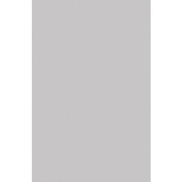 Superpan Natural Grey Panel 2440 x 1220 x 18mm Soft 111
