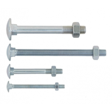 Cup Square Bolt & Nut 12 x 120