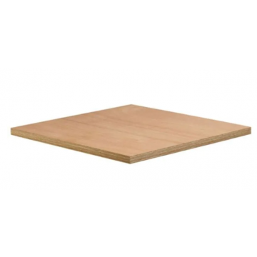 Construction Marine Plywood 2440 x 1220 x 25mm Lw Ce2+