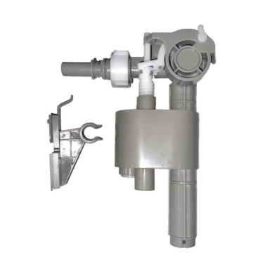 Conceala Cistrn Univalve Inlet