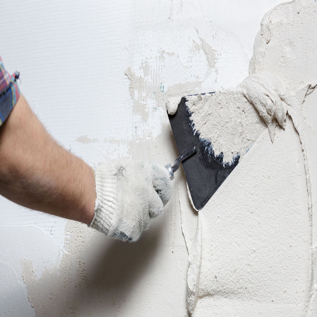 How to Paint Freshly Plastered Plasterboard: A Complete Guide for Homeowners and Builders